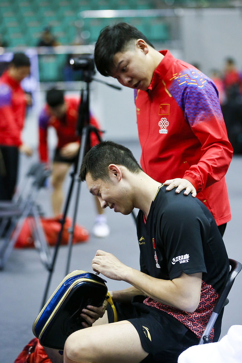 包含中国乒乓球队力克波兰乒乓球队，许昕制霸全场的词条