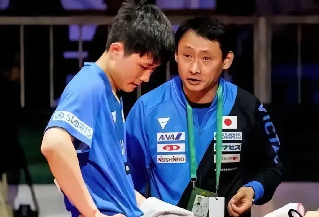 开云体育平台APP-波兰队横扫日本队，张继科惊艳四座
