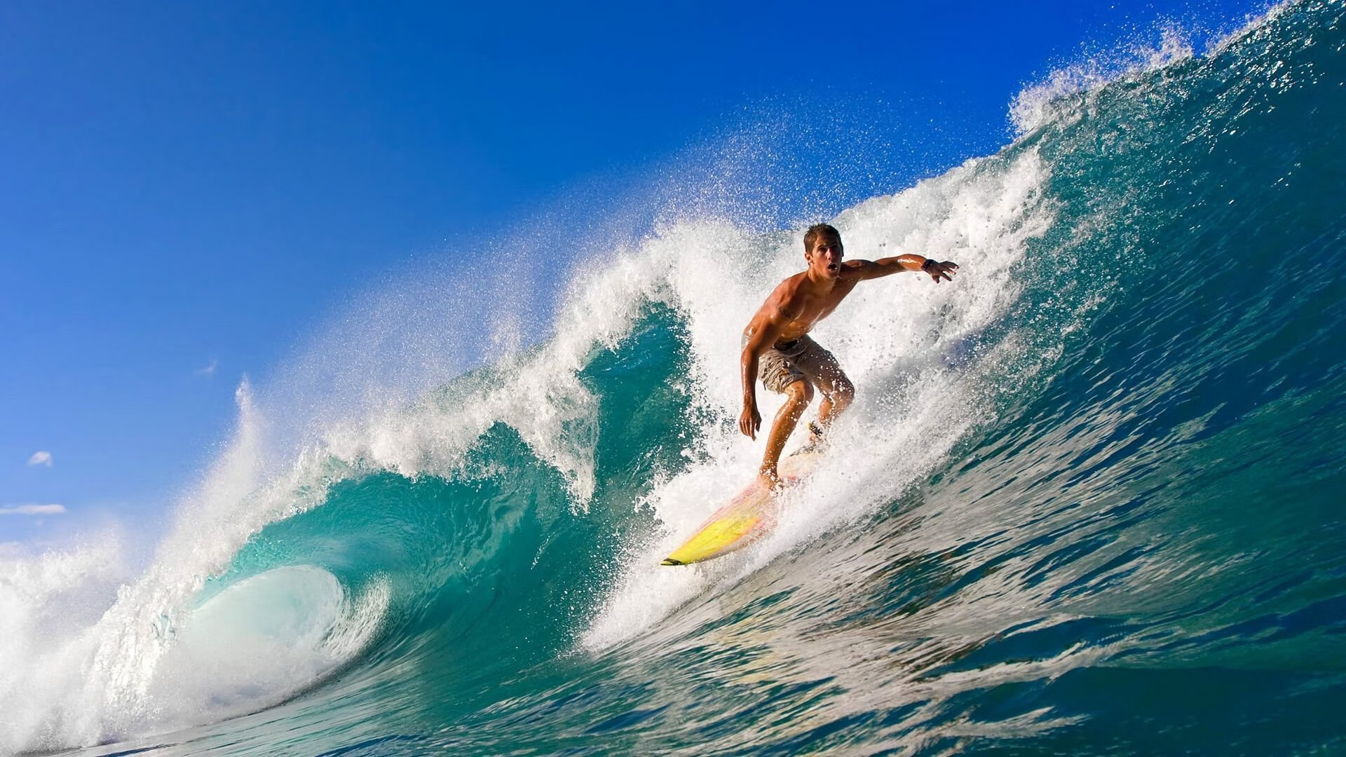 狼群围猎，孤星破阵，森林狼铁血压制灰熊，乔治无解进攻撕裂防线