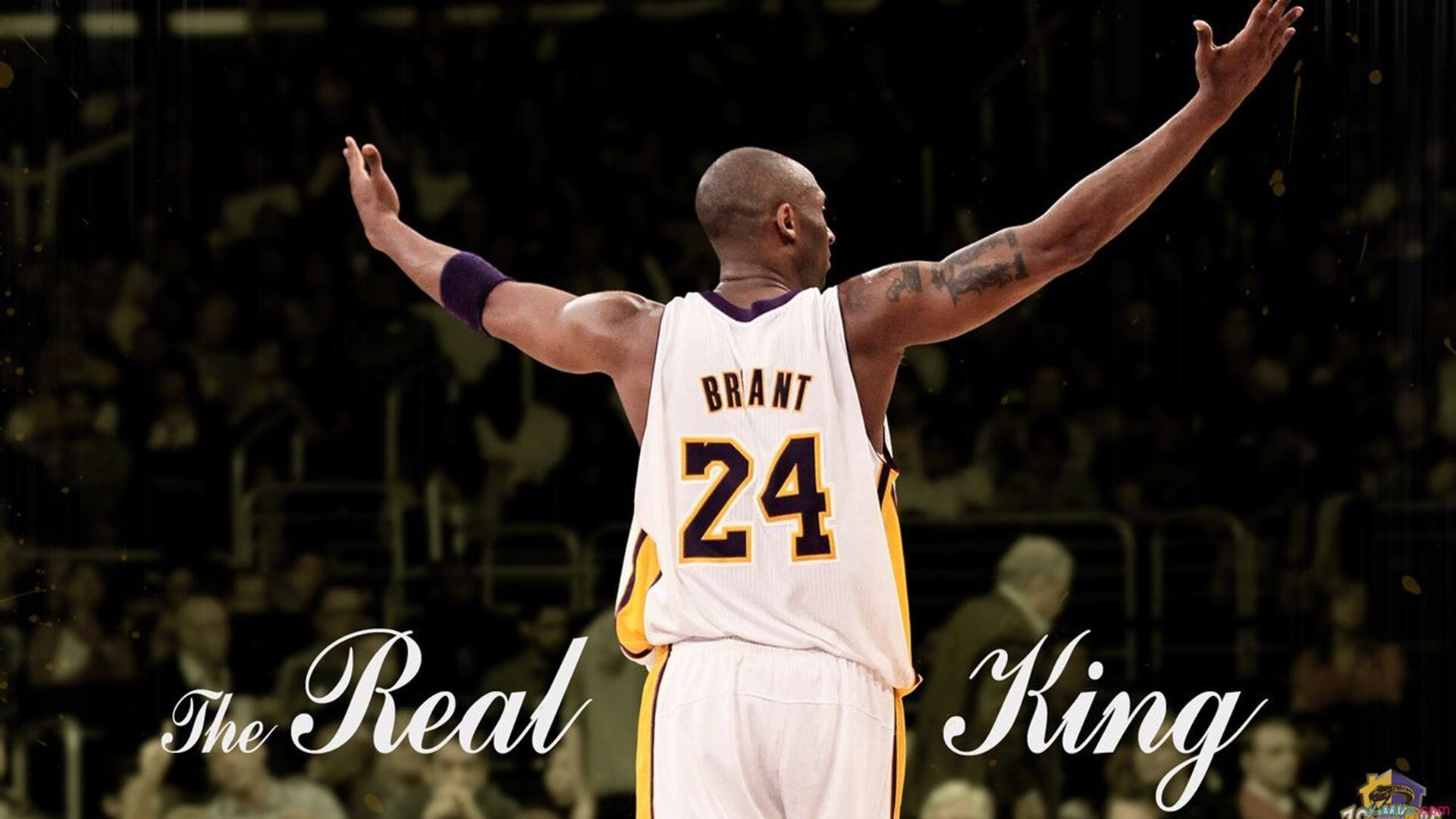 莫兰特狂飙统治全场，鹈鹕险胜国王背后的战术博弈与意志较量